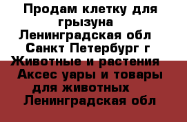 Продам клетку для грызуна - Ленинградская обл., Санкт-Петербург г. Животные и растения » Аксесcуары и товары для животных   . Ленинградская обл.